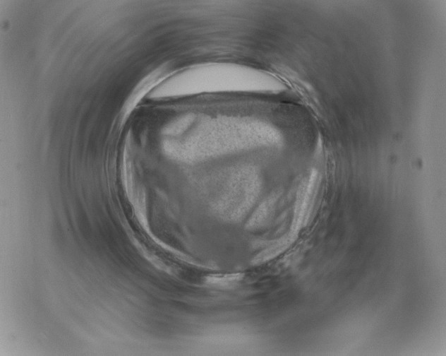 X0000070370051200607072138