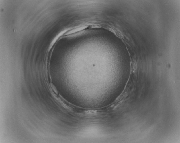 X0000070370052200607072138