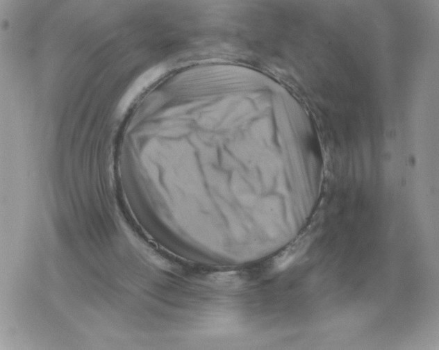 X0000070370054200607072138