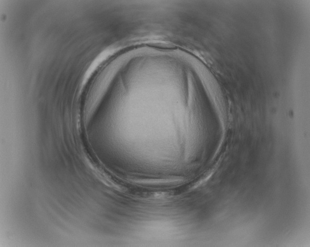 X0000070370056200607072138