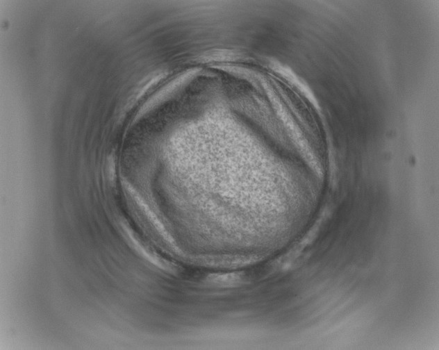 X0000070370057200607072139