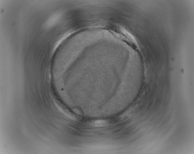 X0000070370059200607072139