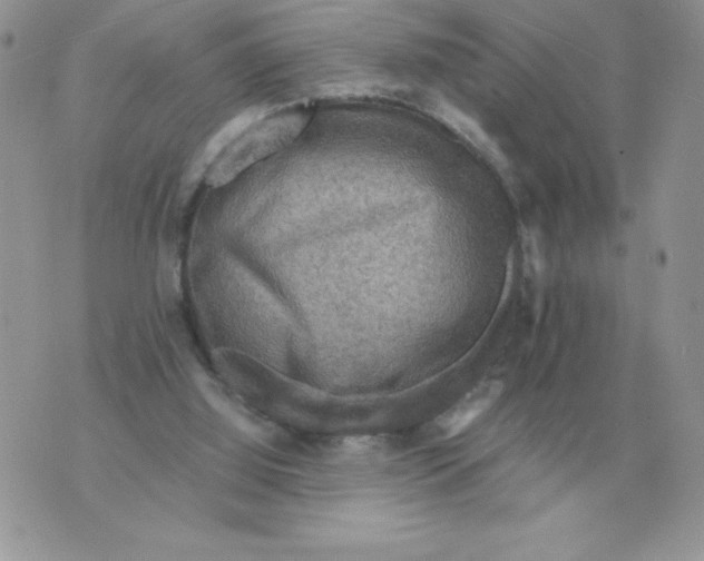 X0000070370060200607072139