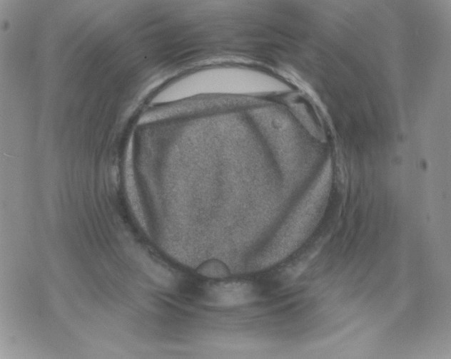 X0000070370063200607072139