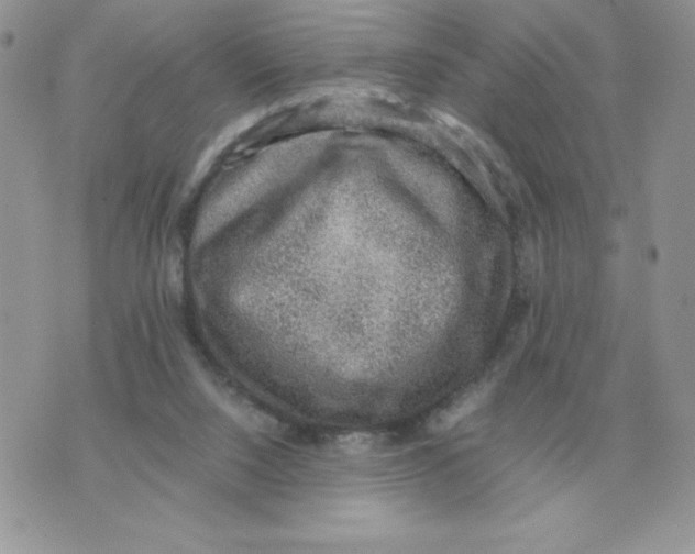 X0000070370064200607072139