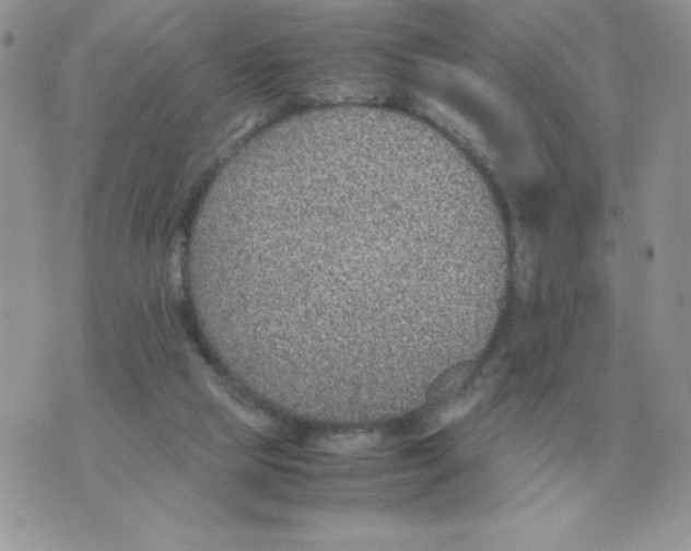 X0000070370065200607072139