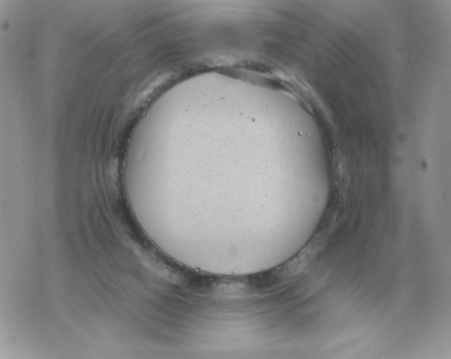 X0000070370066200607072139