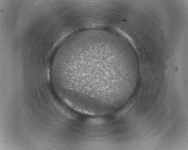 X0000070370067200607072139