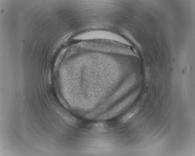 X0000070370068200607072139