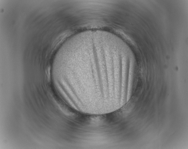 X0000070370070200607072139