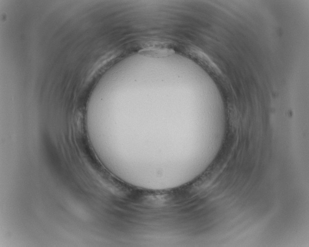 X0000070370071200607072139