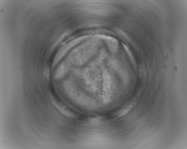 X0000070370072200607072139