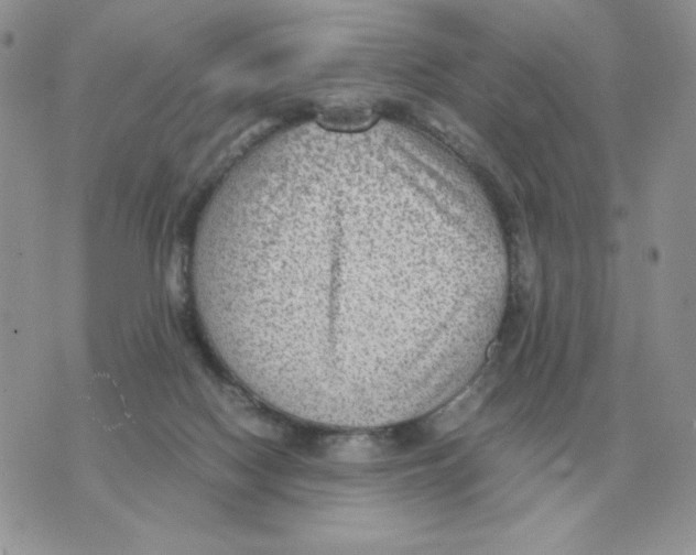 X0000070370074200607072139