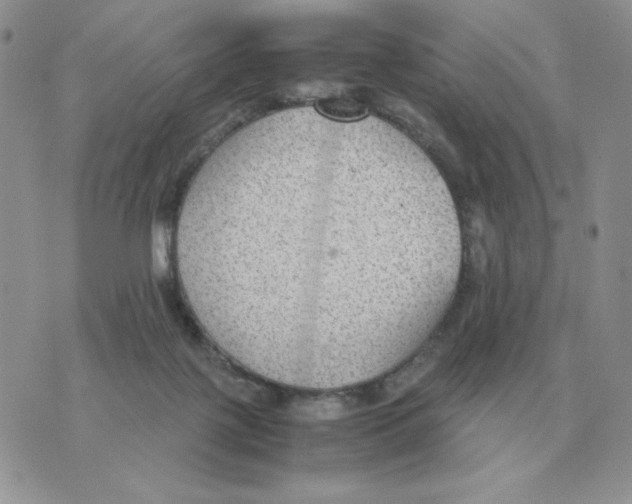 X0000070370075200607072139