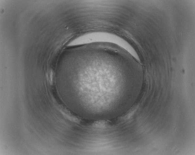 X0000070370076200607072139