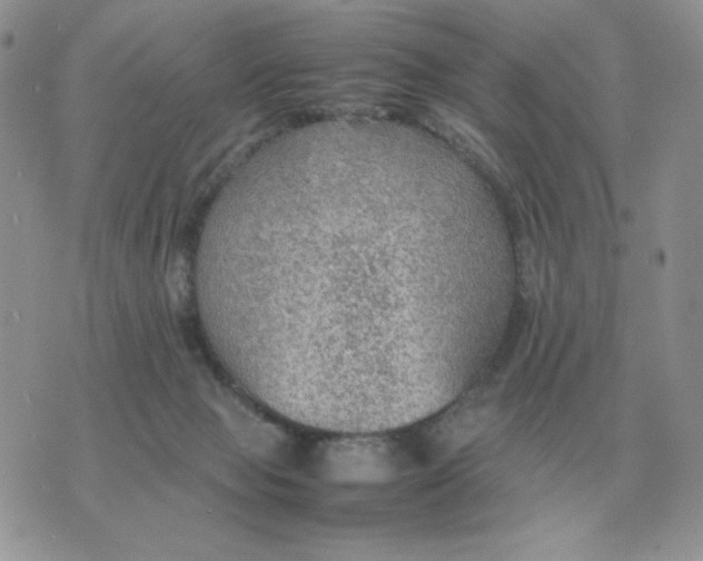 X0000070370077200607072139