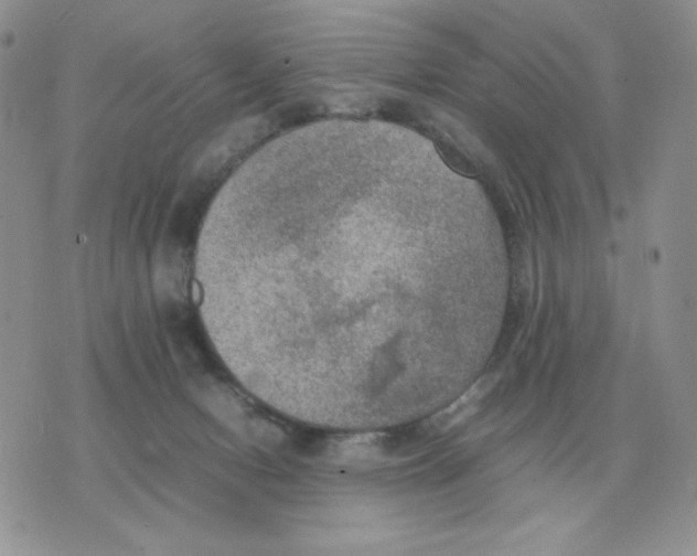 X0000070370078200607072139