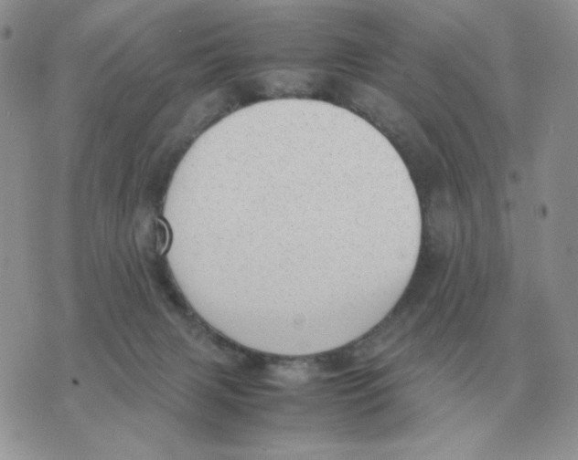 X0000070370079200607072139