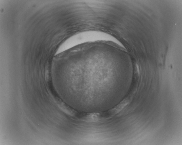 X0000070370080200607072139