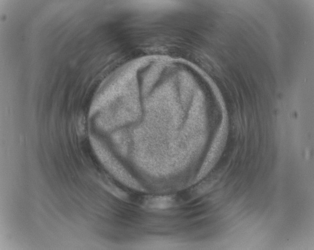 X0000070370081200607072139