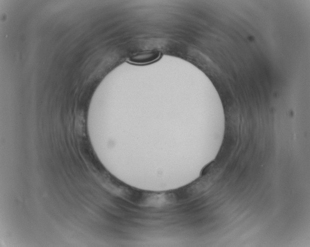 X0000070370083200607072139