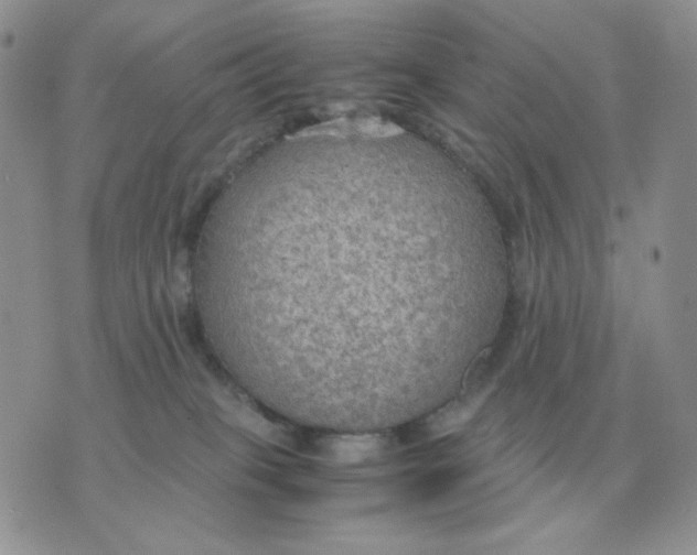 X0000070370085200607072139