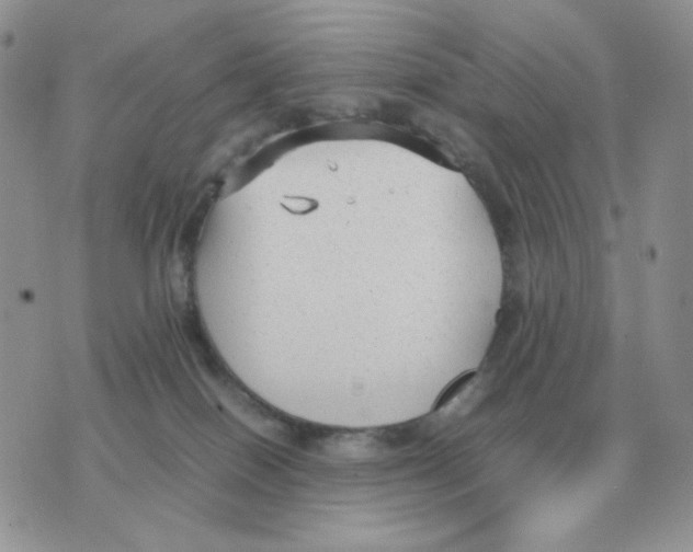 X0000070370086200607072139