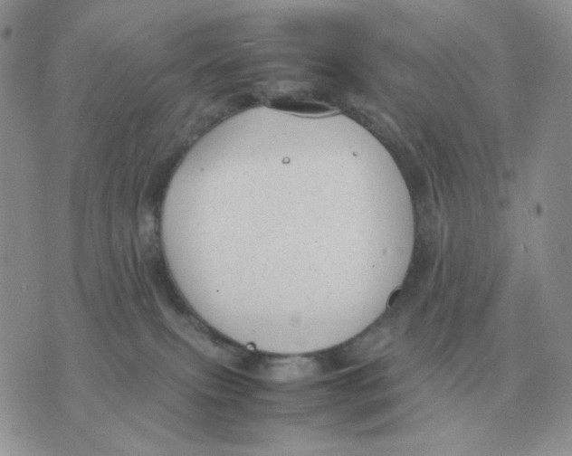 X0000070370087200607072139