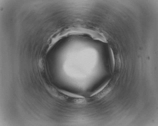 X0000070370088200607072139