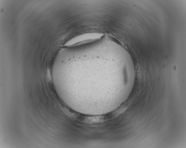 X0000070370089200607072139