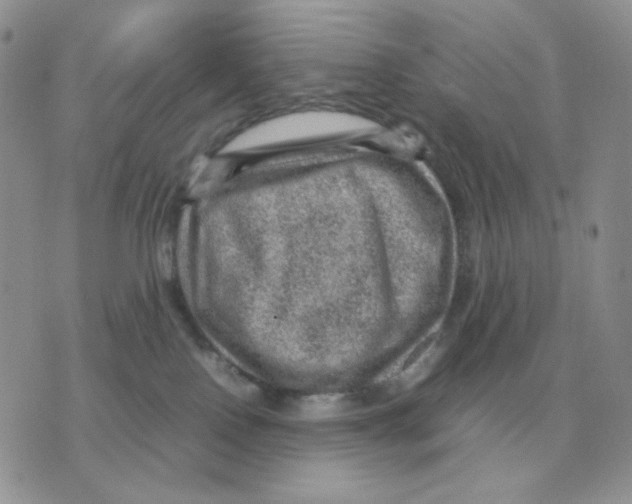 X0000070370090200607072139