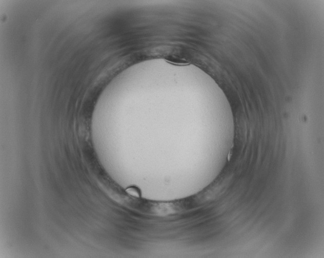 X0000070370091200607072139