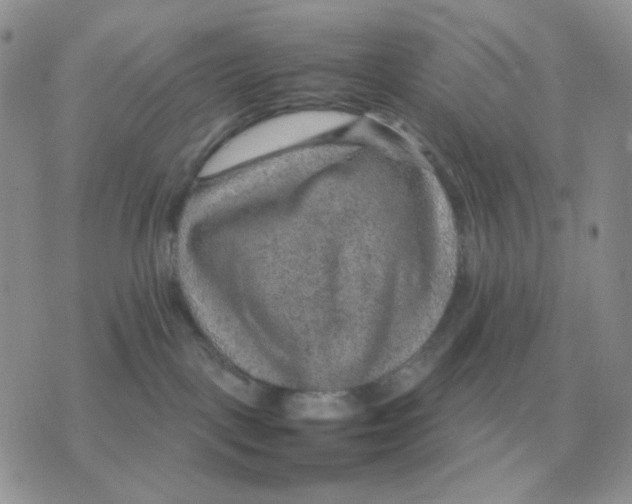 X0000070370093200607072139