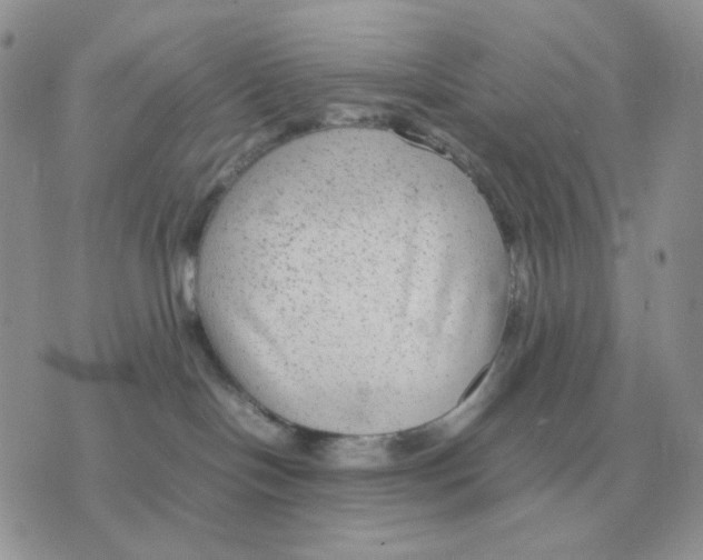 X0000070370094200607072139