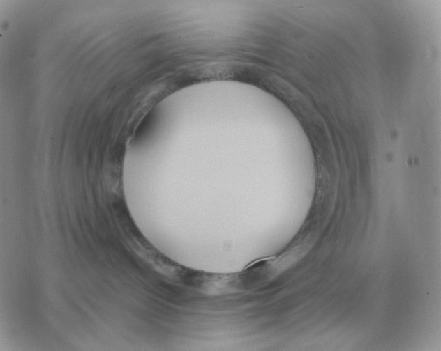 X0000070370096200607072139