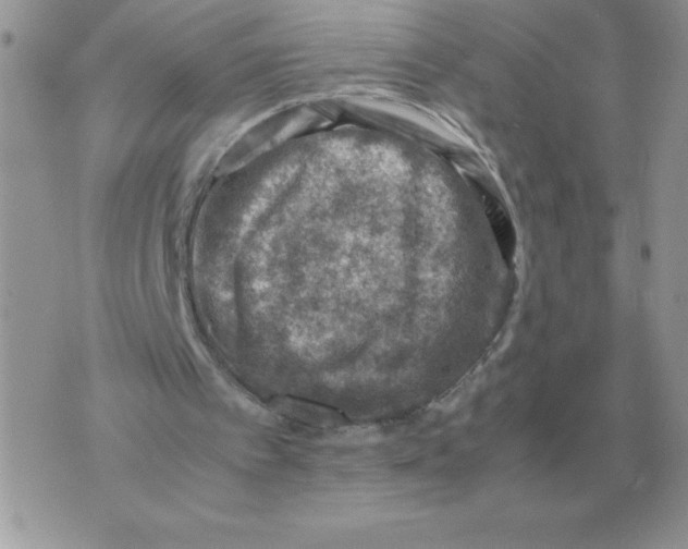 X0000070370097200607072138