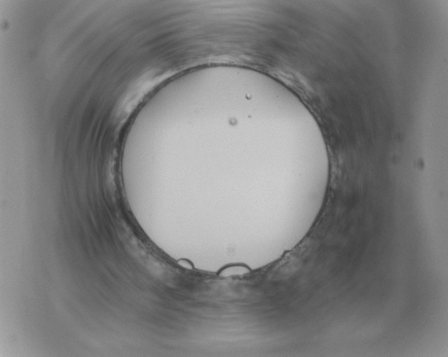 X0000070370098200607072138