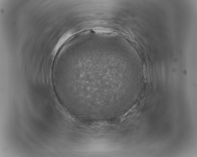 X0000070370099200607072138