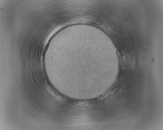 X0000070370100200607072138