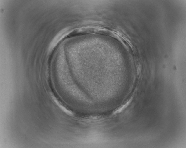 X0000070370101200607072138