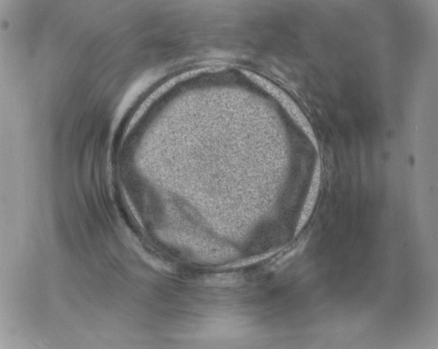 X0000070370102200607072138