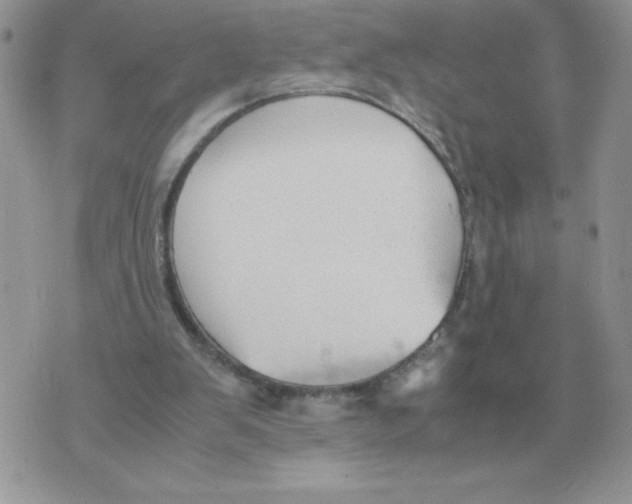 X0000070370103200607072138