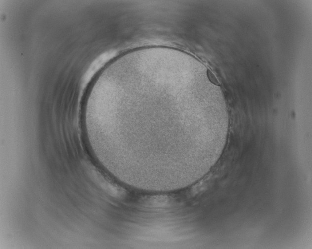 X0000070370104200607072138