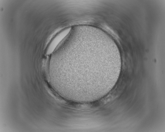 X0000070370107200607072138