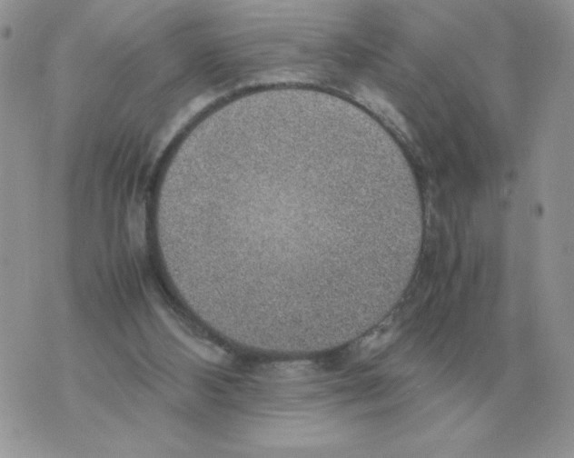 X0000070370108200607072138