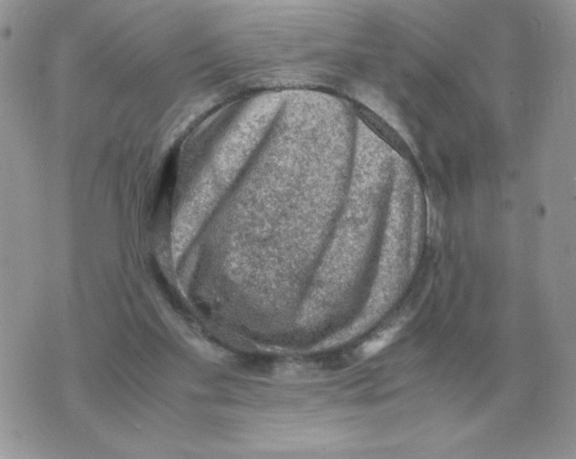 X0000070370109200607072138