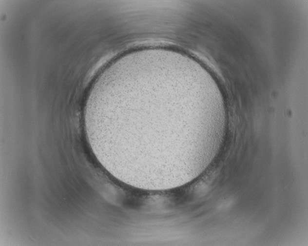 X0000070370111200607072138