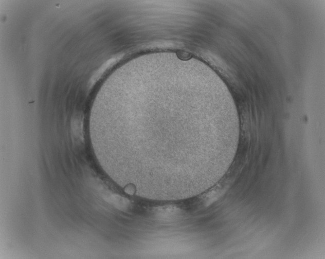 X0000070370112200607072138