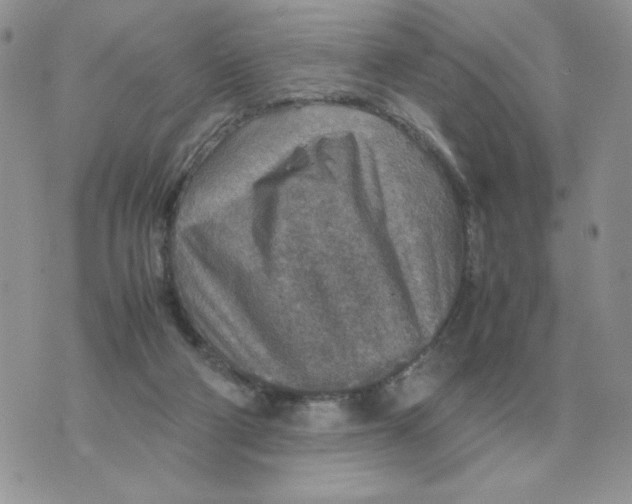 X0000070370114200607072138