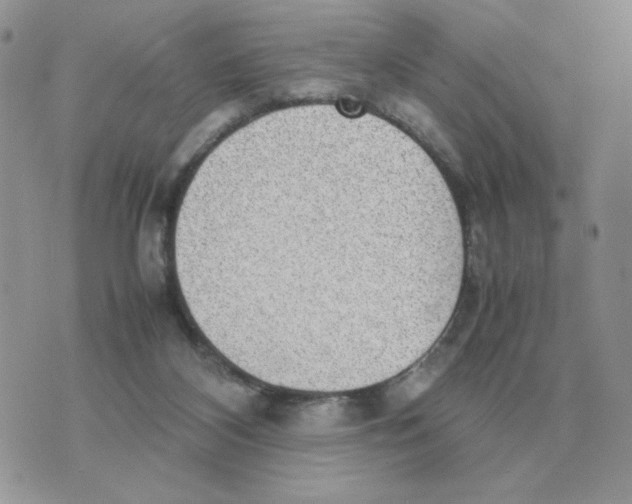 X0000070370116200607072138